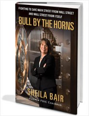 bull_by_the_horns_cover